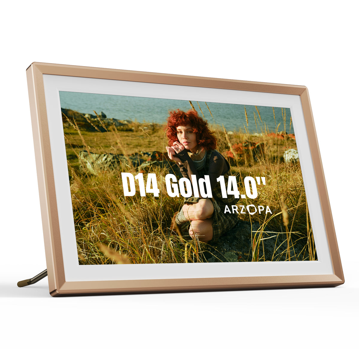 Arzopa D14 Champagne Gold | 14" Digital Photo Frame