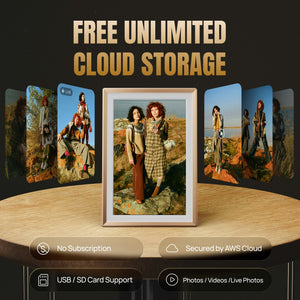 Arzopa D14 Champagne Gold | 14" Digital Photo Frame