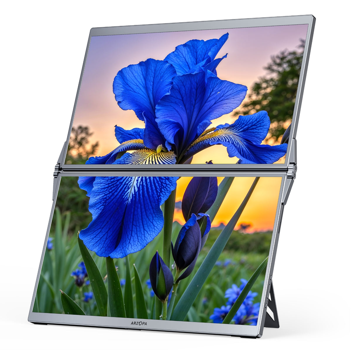 Vibrant blue iris flower wallpaper displayed across stacked dual screens of ARZOPA E1 portable monitor.