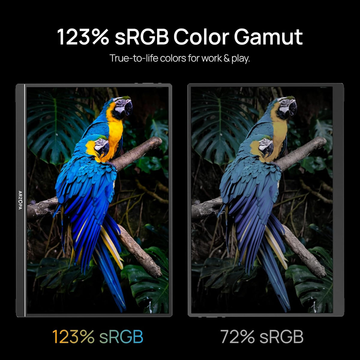 olor gamut comparison side-by-side displaying a vivid blue parrot on 123% sRGB Arzopa screen versus a duller 72% sRGB display.